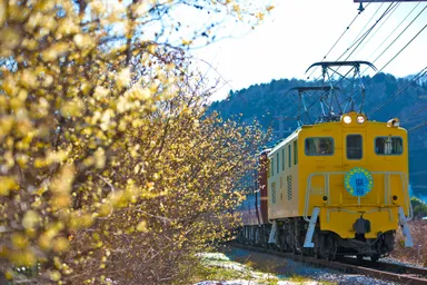 第19回秩父鉄道写真コンテスト車両部門　推薦(秩父鉄道社長賞)作品