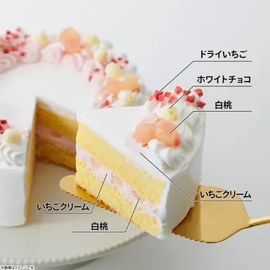 キャラデコパーティーケーキ　パウ・パトロール(ホイップクリーム味2)