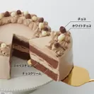 キャラデコパーティーケーキ　パウ・パトロール(チョコクリーム味2)