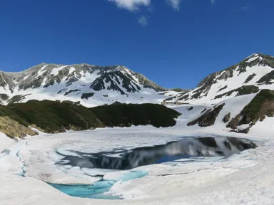 サイダーフロートのような「みくりが池」(6月中旬撮影)