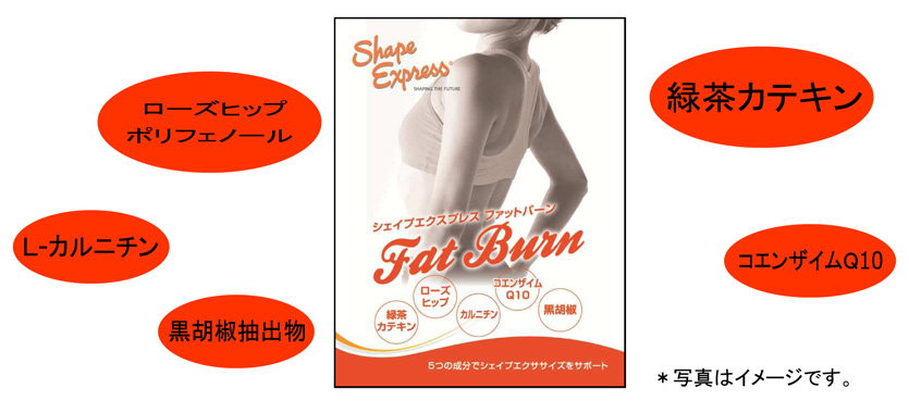 全国のフィットネスショップ及びゴールドジムにて、5月下旬に「夏のエネルギードリンク」「シェイプエクスプレス ファットバーン」6月に販売開始