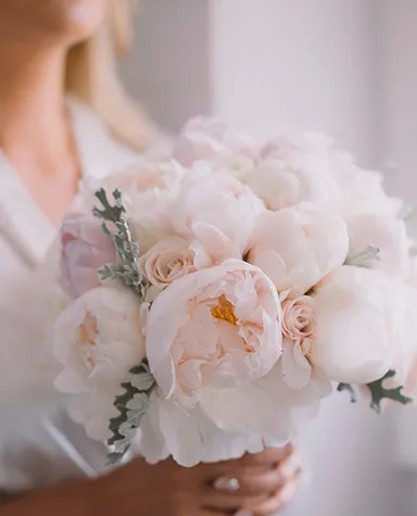 イメージ画像(4)