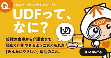 UDFってなに？