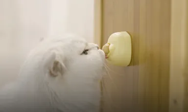 ペット知育玩具おやつ「ペロトモ」使用イメージ(2)