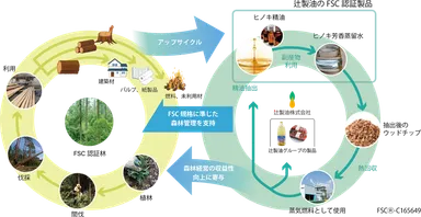 辻製油 ヒノキ精油事業
