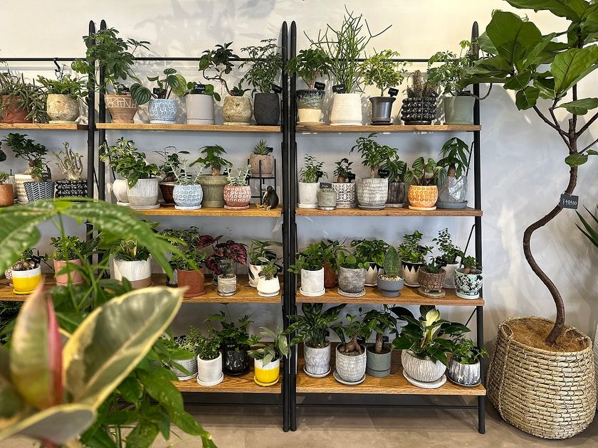 愛知県一宮市のインテリアショップ「LIBERA」
別館「LIBERA＆」が6月9日にグランドオープン！