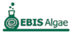 株式会社イービス藻類産業研究所のロゴ