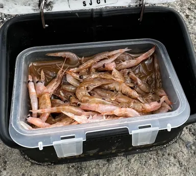 クックックサイゼ！使用イメージ