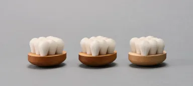 シルク　ボディケアブラシ