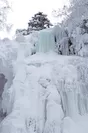 深い雪に閉ざされた森の中に現れる氷瀑の絶景