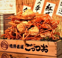 img_359005_8.jpeg