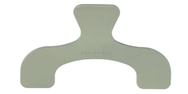 ナイトフォレスト