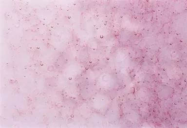 344 GROWイメージヴィジュアル