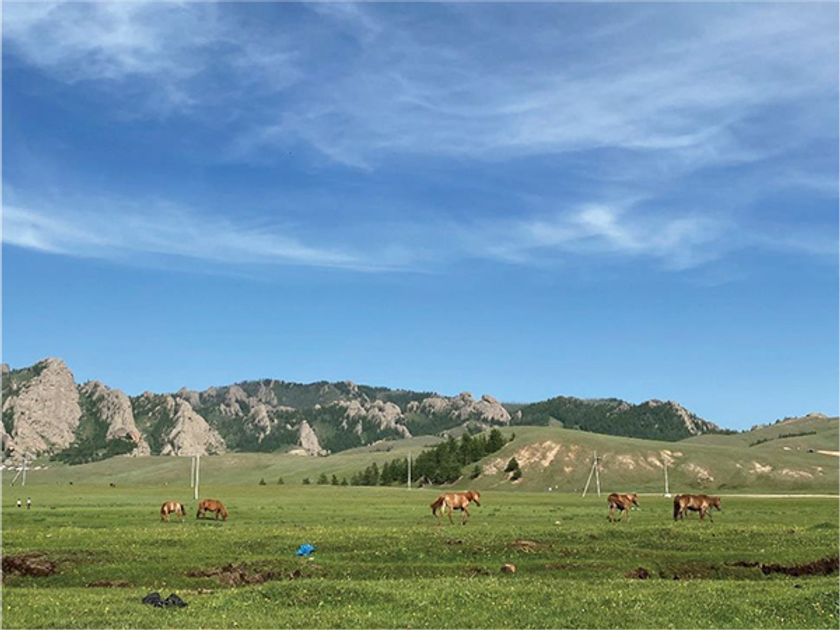 モンゴルへのみんなのイメージは？
～モンゴルに関する調査結果を阪急交通社が公開～