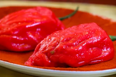 真夏のシン・ジャンボ餃子　ヨリ