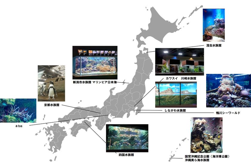 夏だ！水族館へ行こう！水槽の照明にも注目！
全国の水族館で採用される京セラのＬＥＤ照明
「ＣＥＲＡＰＨＩＣ(R)（セラフィック）」