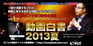 「動画白書2013夏」