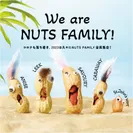 NUTS PARTY NUTS FAMILY