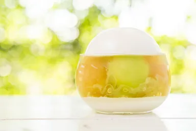 EGGゼリー　メロン