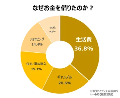なぜお金を借りたのか？