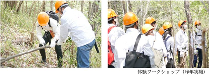 「企業の森づくり活動への取組に関する協定」を7月3日に締結します
兵庫県神戸市内にある「キーナの森」の一部を
「阪急阪神不動産の森」と名付け、森林保全活動を実施します