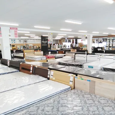 横になってお試しいただけるベッド売場