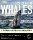 『クジラ　海の巨人』表紙画像