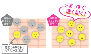 速攻型ビタミンCに関する説明