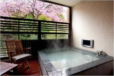 桜が美しい篠のお部屋