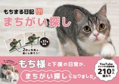 「もちまる日記まちがい探し」表紙