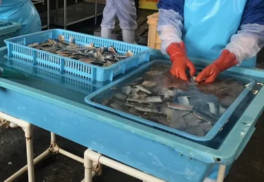 グループ工場での作業風景1