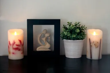 植物との相性はぴったり