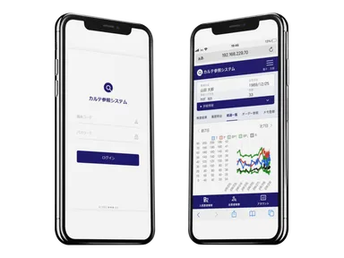 スマホDEカルテ(仮) イメージ