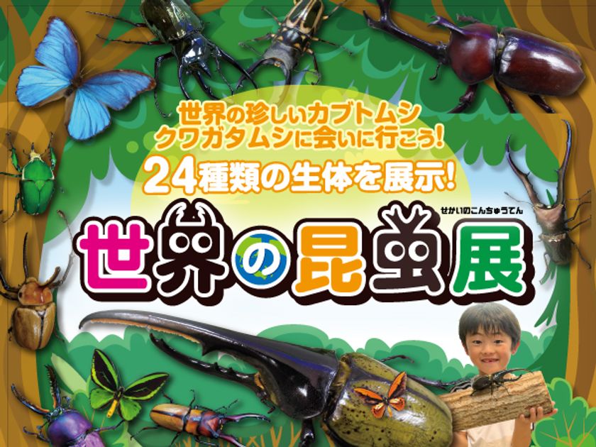 【近鉄百貨店 四日市店】世界の珍しいカブトムシ・クワガタムシに会える！
世界の昆虫展