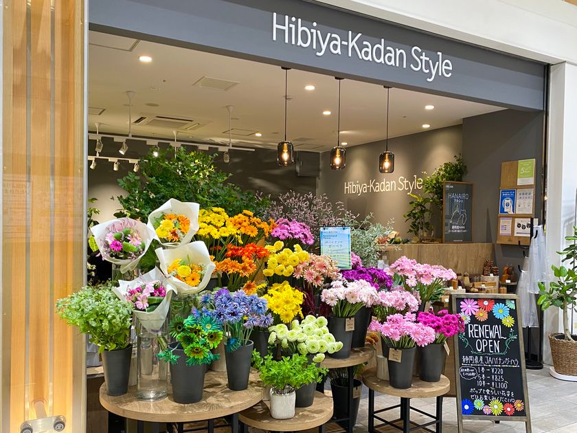 ～約1,000本の地元静岡県産のガーベラで
華やかにお出迎え～
Hibiya-Kadan Style ASTY静岡店
7月12日（水）リニューアルオープン