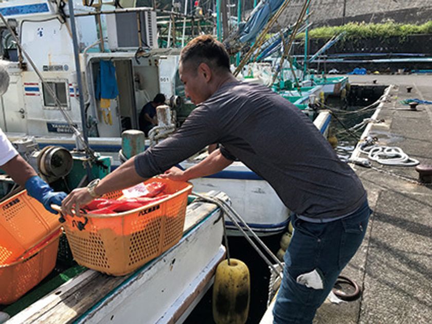従事者の高齢化や後継者不足など課題解決の一助に
東京の島で「島暮らし体験」ができる
漁業・農業就業体験者を募集開始