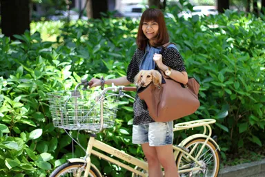 キャリーバッグとして