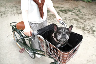 体重のあるペットでも安心