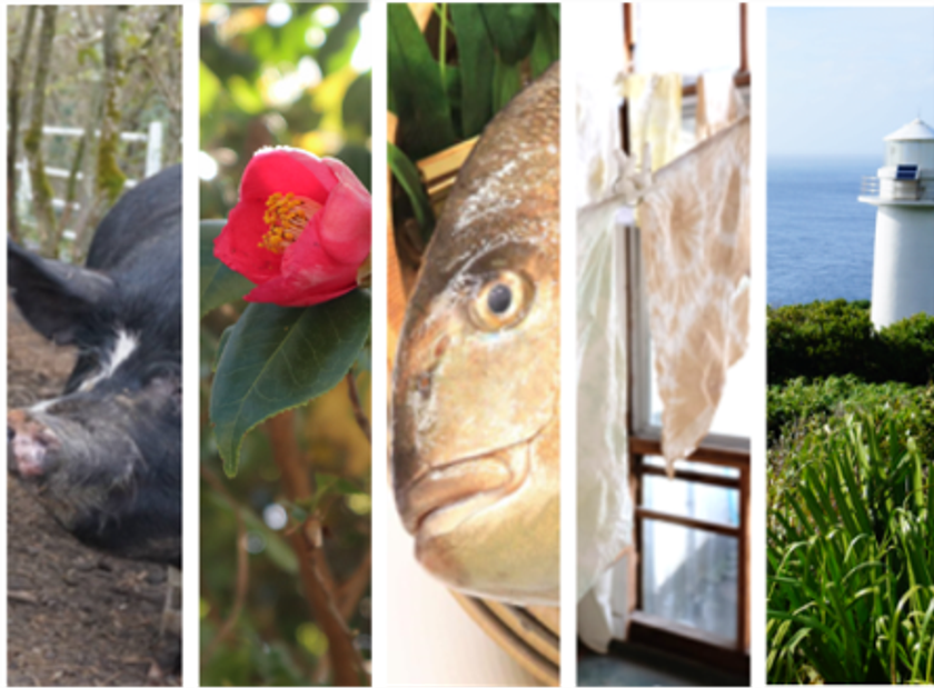 SDGsの取組みを通して、東京諸島の魅力を発信！
“東京愛らんどSDGsギャラリー”開催！