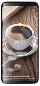 Galini ストレス管理 セッション画面03