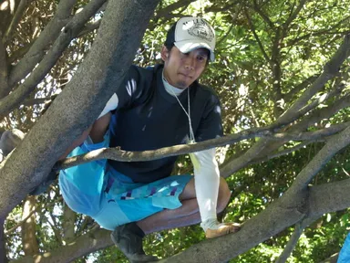 木の上からテントを作り