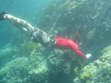 素潜り自給自足の食材調達