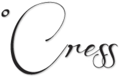 クリエイティブ美女系コンテンツ『SISTOGRAM』、制作の受注を本格的に開始