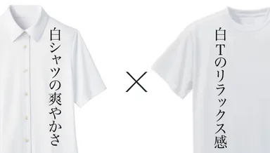 YシャツとTシャツのハイブリッド