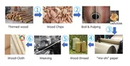 木→和紙→木糸→木布への製造工程