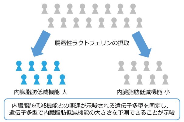 研究結果の概要図