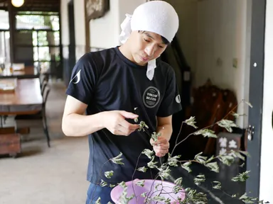 クロモジの選別