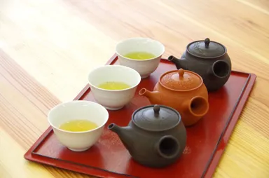 自家栽培シングルオリジン煎茶