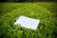 最高級シングルオリジン日本茶 茶葉商品『香りたつ茶畑』 ギフト用パッケージ5種セット