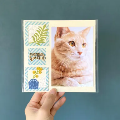 愛猫スクラップブッキング